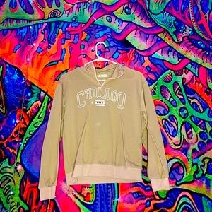 Shine Chicago pull over